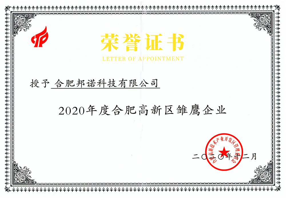 合肥高新区雏鹰企业